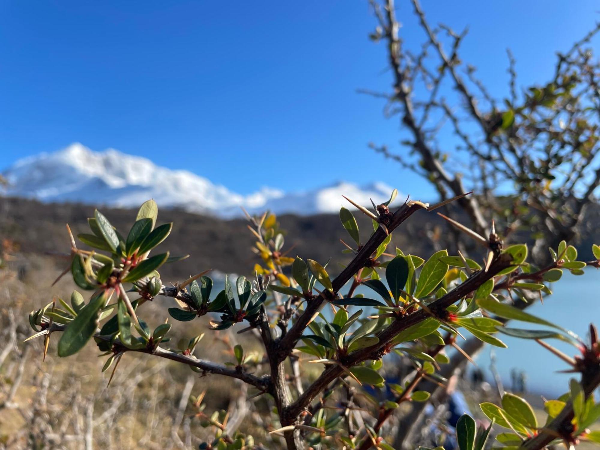 La Comarca Azul Villa El Calafate Kültér fotó